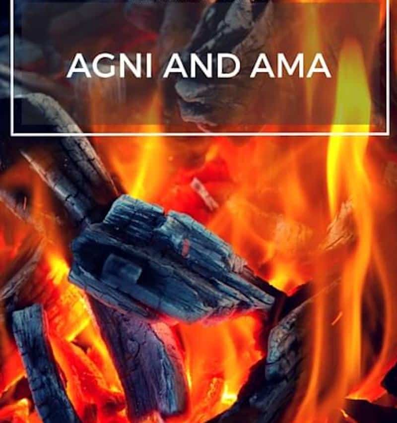 Irritable Bowel Syndrome and it's unimagionable suffering agni - Irritable Bowel Syndrome and it's unimagionable suffering